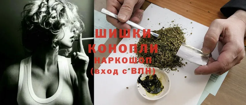 Бошки Шишки индика  Райчихинск 